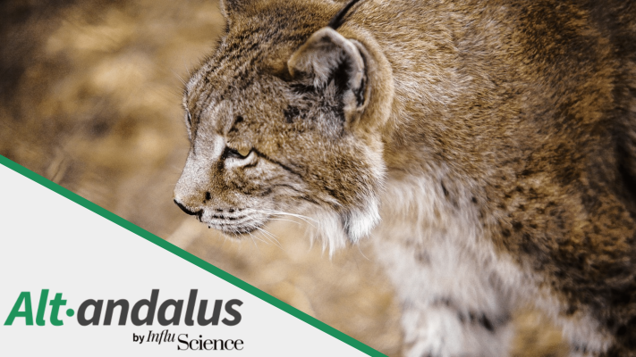 AltAndalus