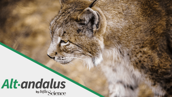 AltAndalus
